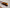 Holbury-870-W_Orange_Above-Angle_Close-Up