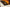 NF1600_Roomset-15-scaled