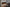NF1900_Slate-View_Orange_Angle-Roomset