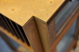 Quercus detail 04