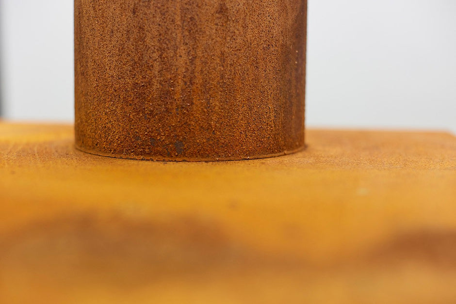 Quercus detail 08