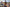 RB73_Quercus-00010