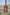 RB73_Quercus-00016