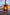 RB73_Quercus-00028