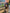 Video_Jotul_Loki_JT_03155_1920