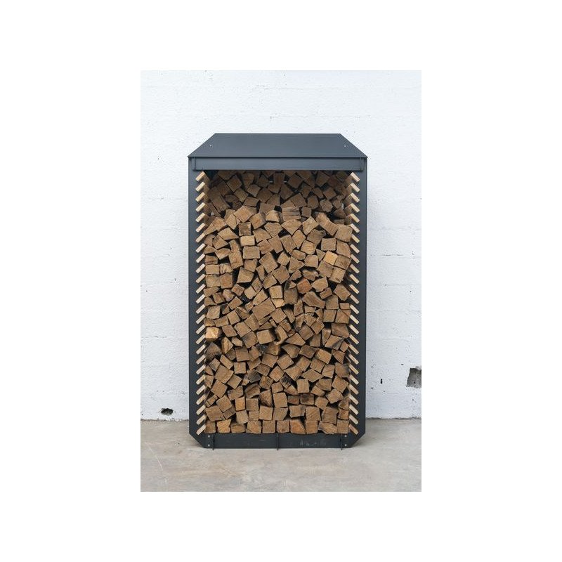 abris-bois-exterieur-design-1