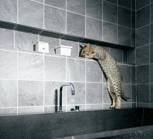 vuolukivilaatta_nunnauuni_kylpyhuone3